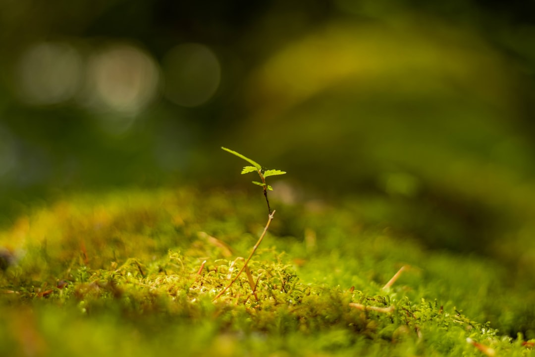 blog