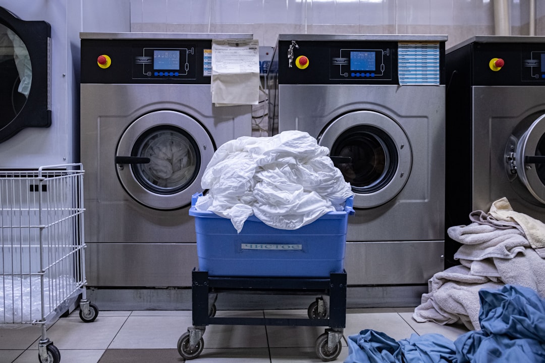Launch a Successful Wash & Fold Laundry Service Image