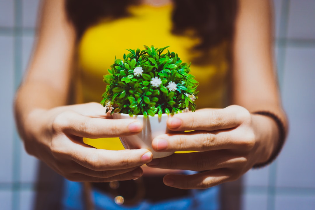 Sustainability as a Startup Differentiator: Why New Businesses Should Care Image